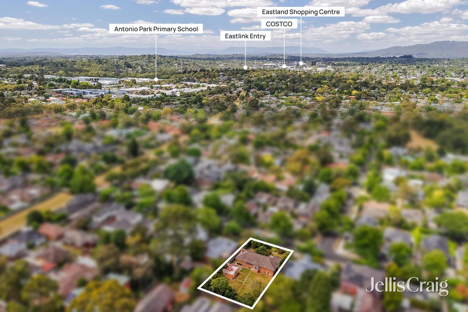 44 Creek Road, Mitcham image 10