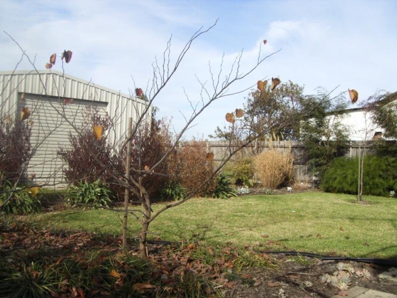 44 Giddings Street, North Geelong image 6