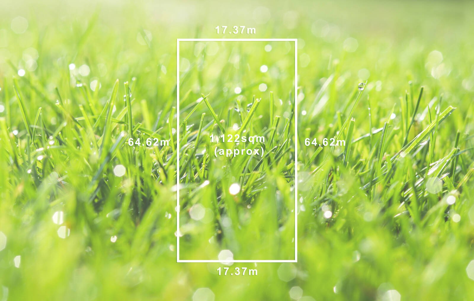 Property Gallery - Main Image
