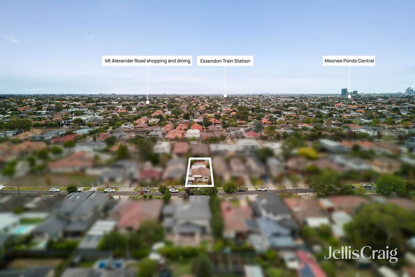 44 Price Street, Essendon image 11