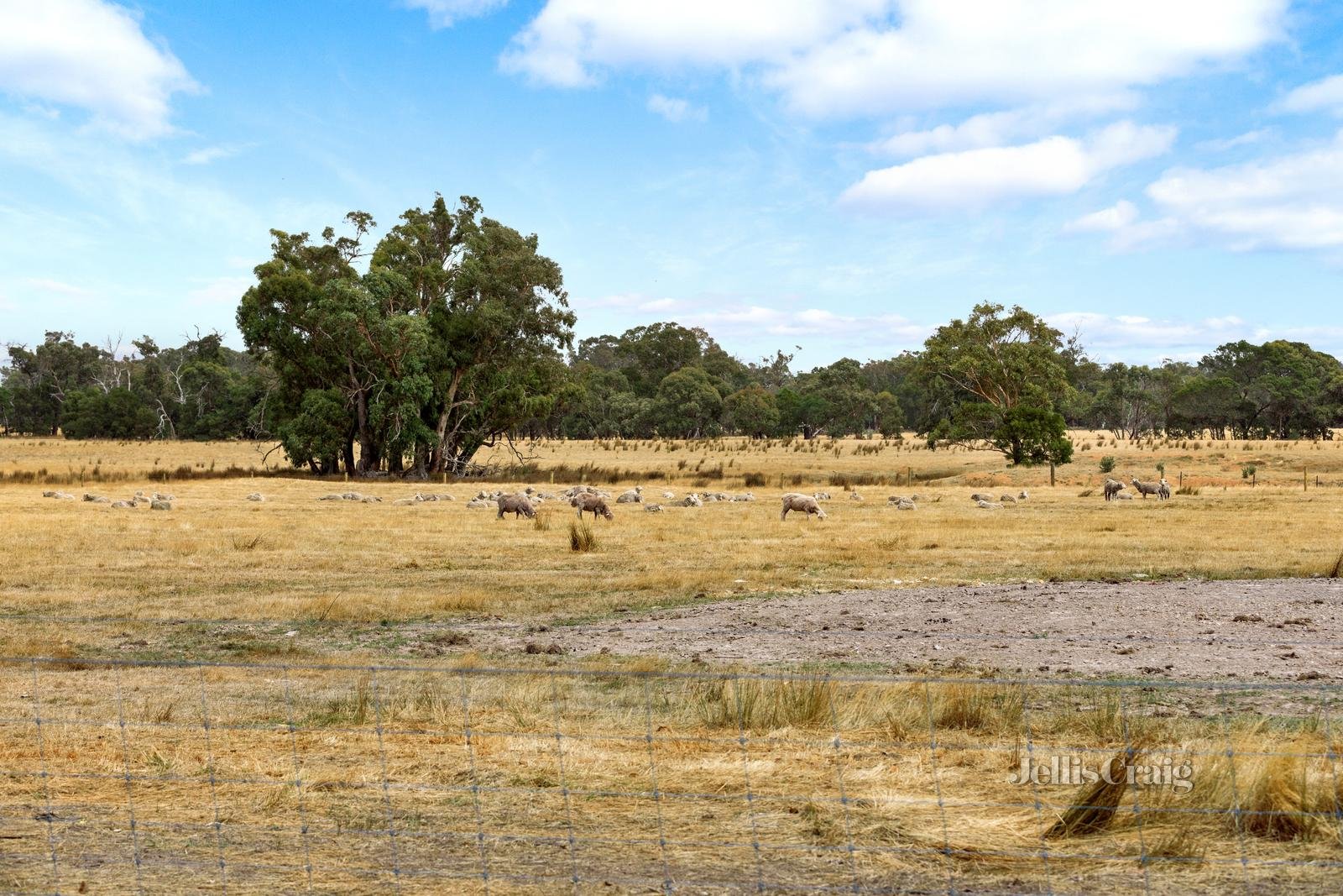 44 Wilsons Lane, Snake Valley image 20