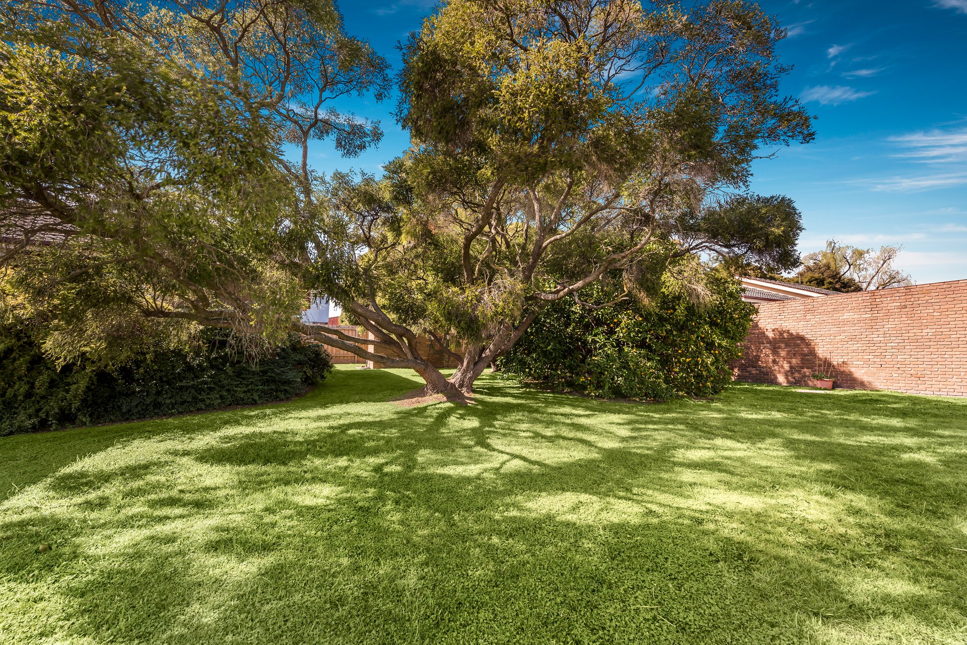 4/472 Canterbury Road, Forest&nbsp;Hill image 10