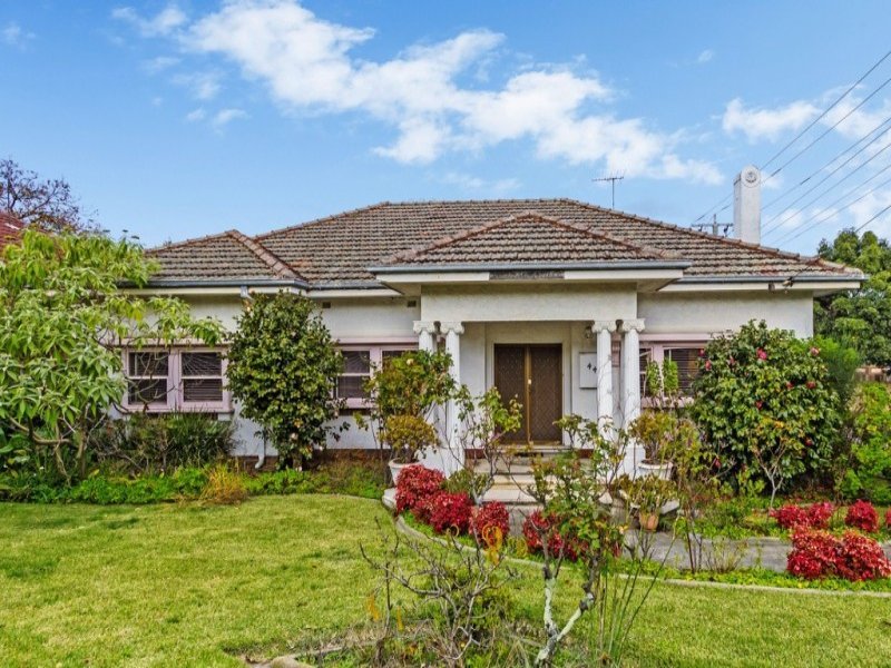 448 Whitehorse Road, Surrey Hills image 2