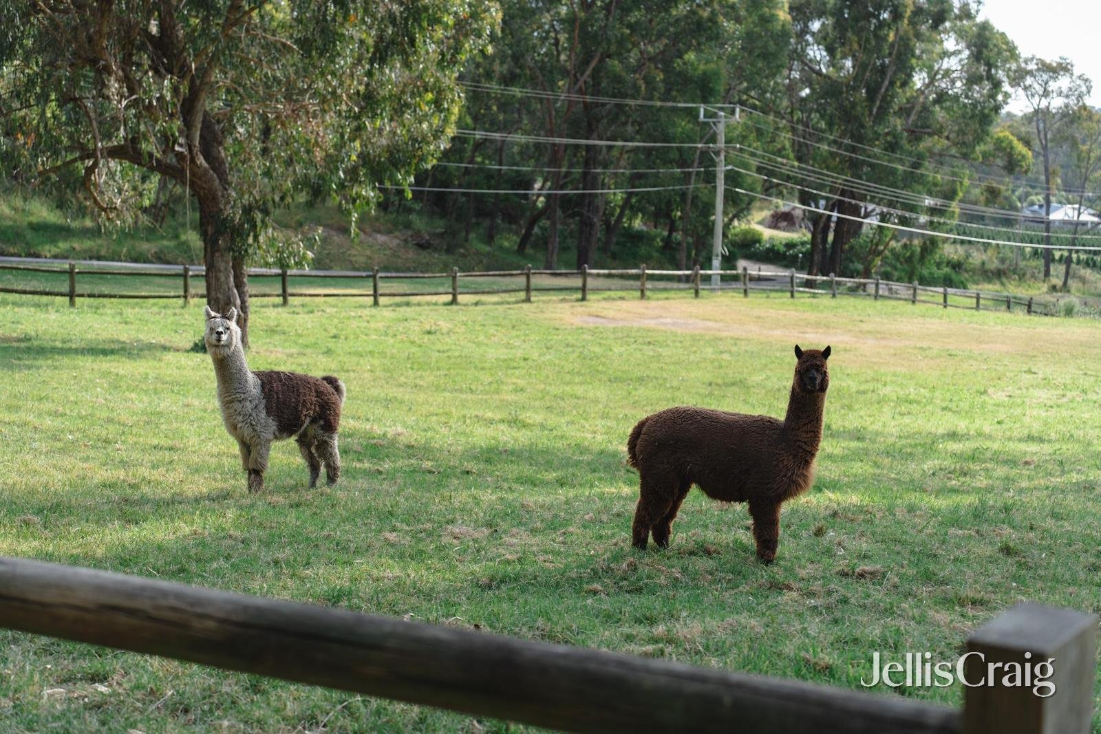 45-49 Moore Avenue, Montrose image 17