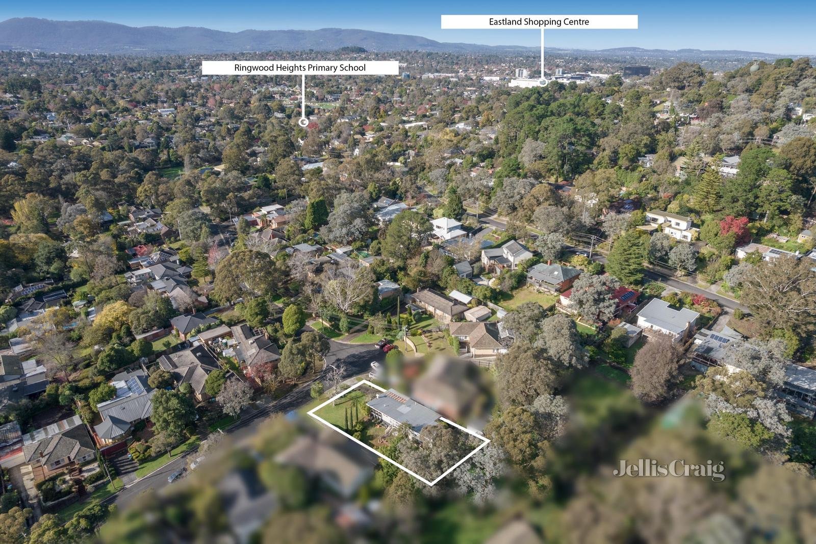 45 Adolphson Avenue, Ringwood North image 12