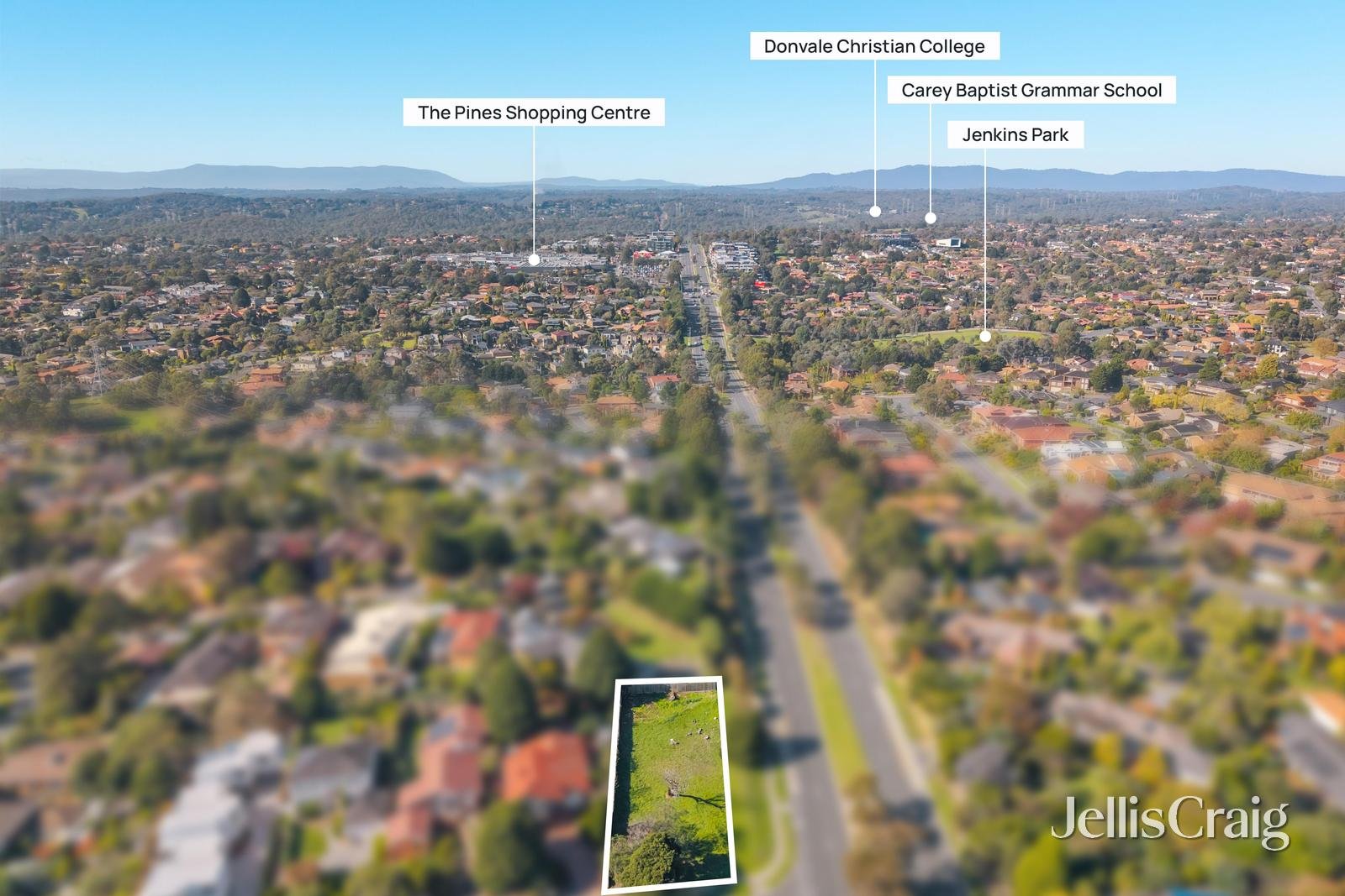 45 Aumann Drive, Templestowe image 4