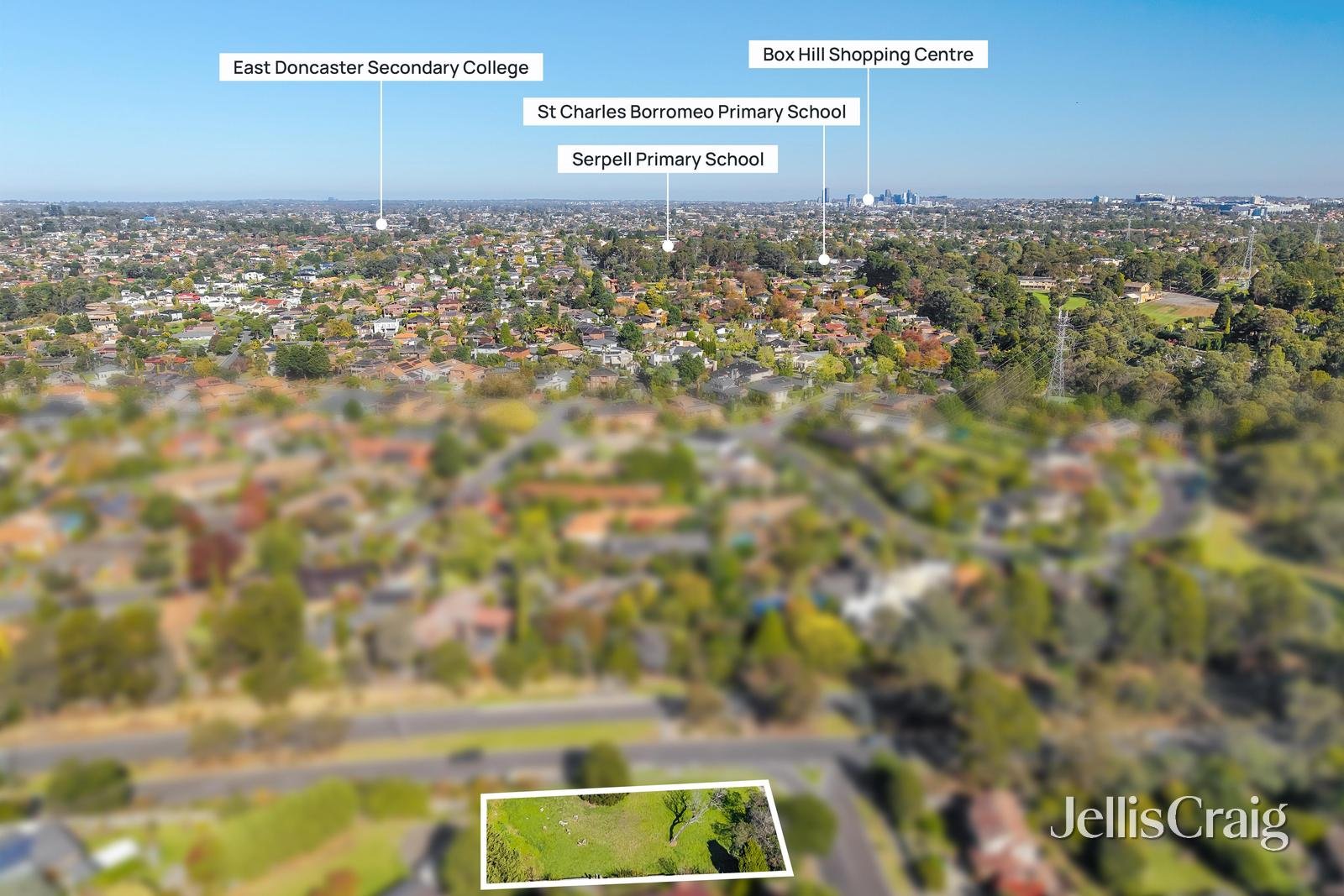 45 Aumann Drive, Templestowe image 6