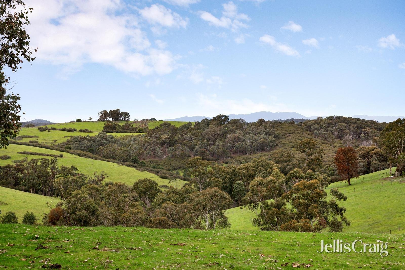 45 Broad Acres Road, Panton&nbsp;Hill image 17