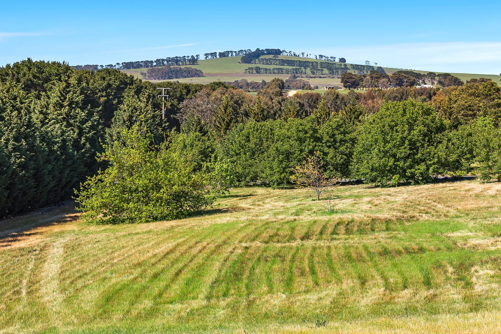 Property Gallery Thumbnail 24