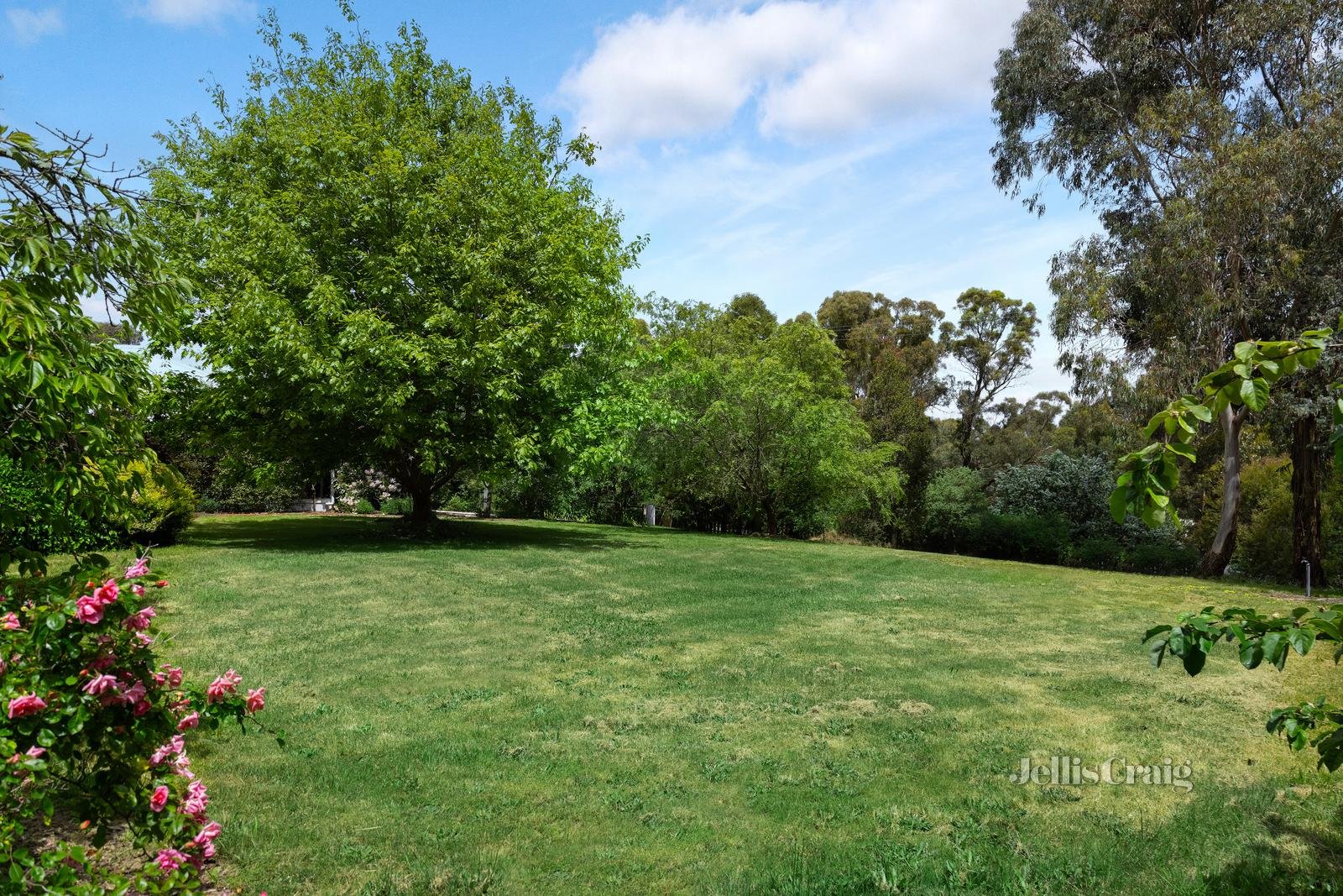 45 Eucalyptus Drive, Invermay image 23
