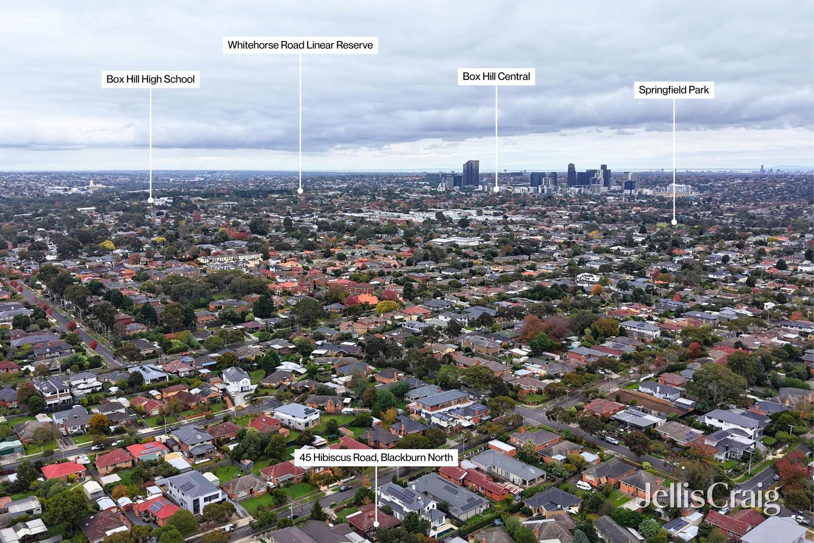 45 Hibiscus Road, Blackburn&nbsp;North image 11