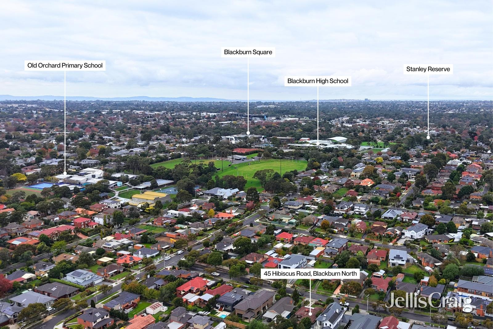45 Hibiscus Road, Blackburn&nbsp;North image 12