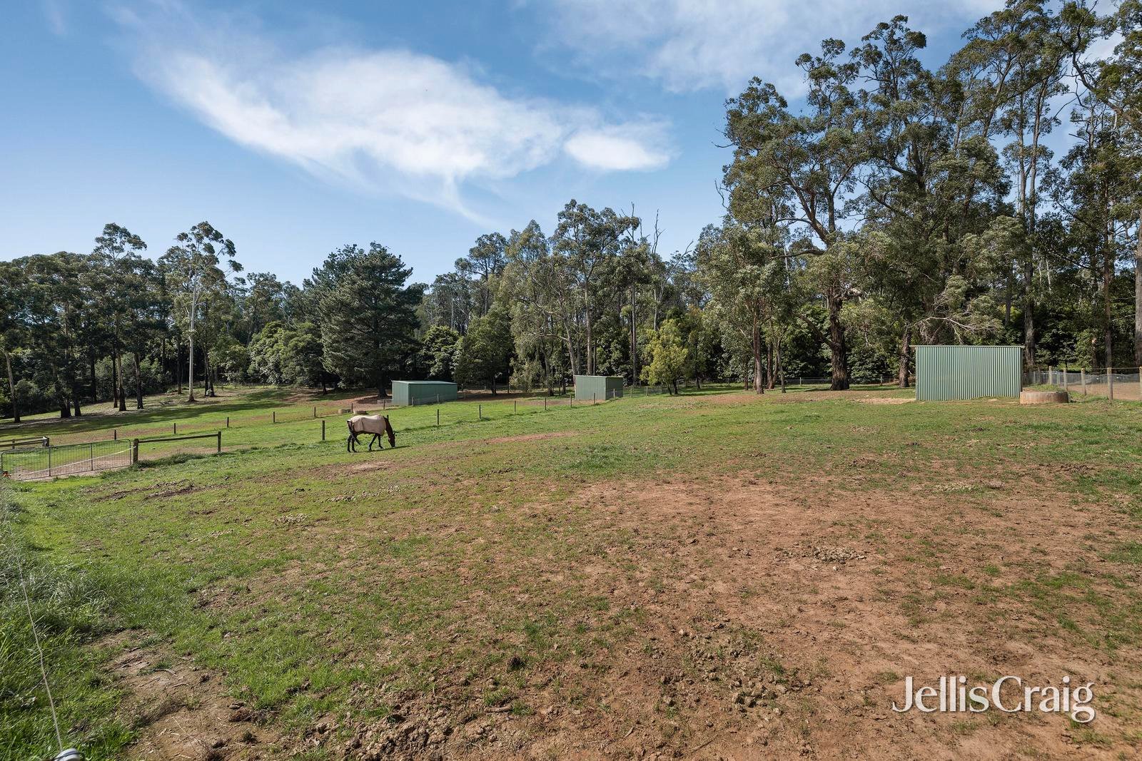 45 Lewis Road, Wandin&nbsp;North image 16