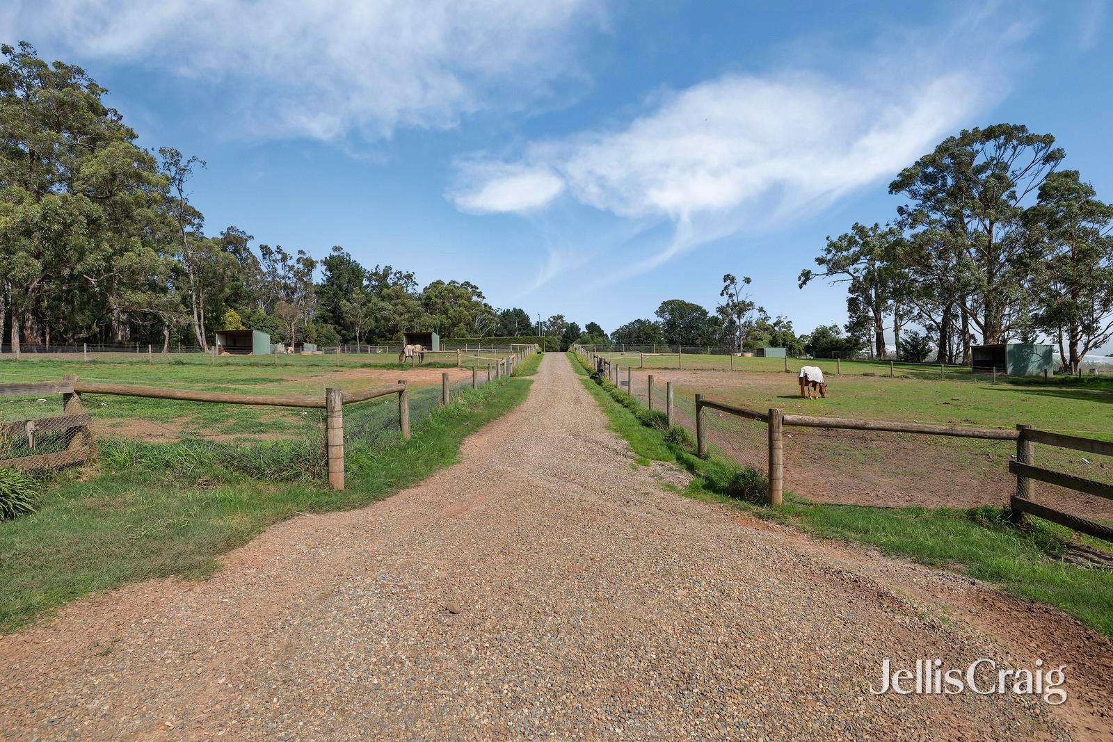 45 Lewis Road, Wandin&nbsp;North image 26