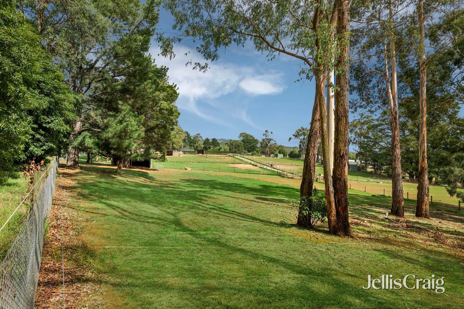 45 Lewis Road, Wandin&nbsp;North image 34