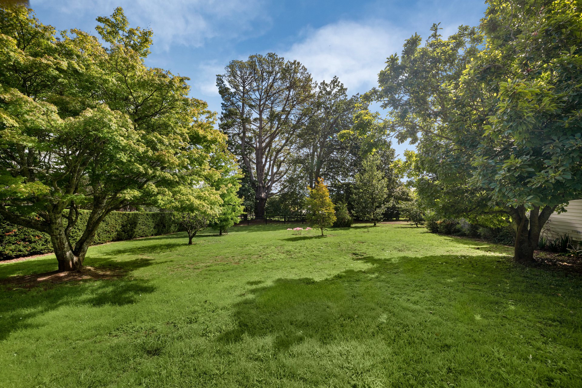 45 Lewis Road, Wandin&nbsp;North image 16