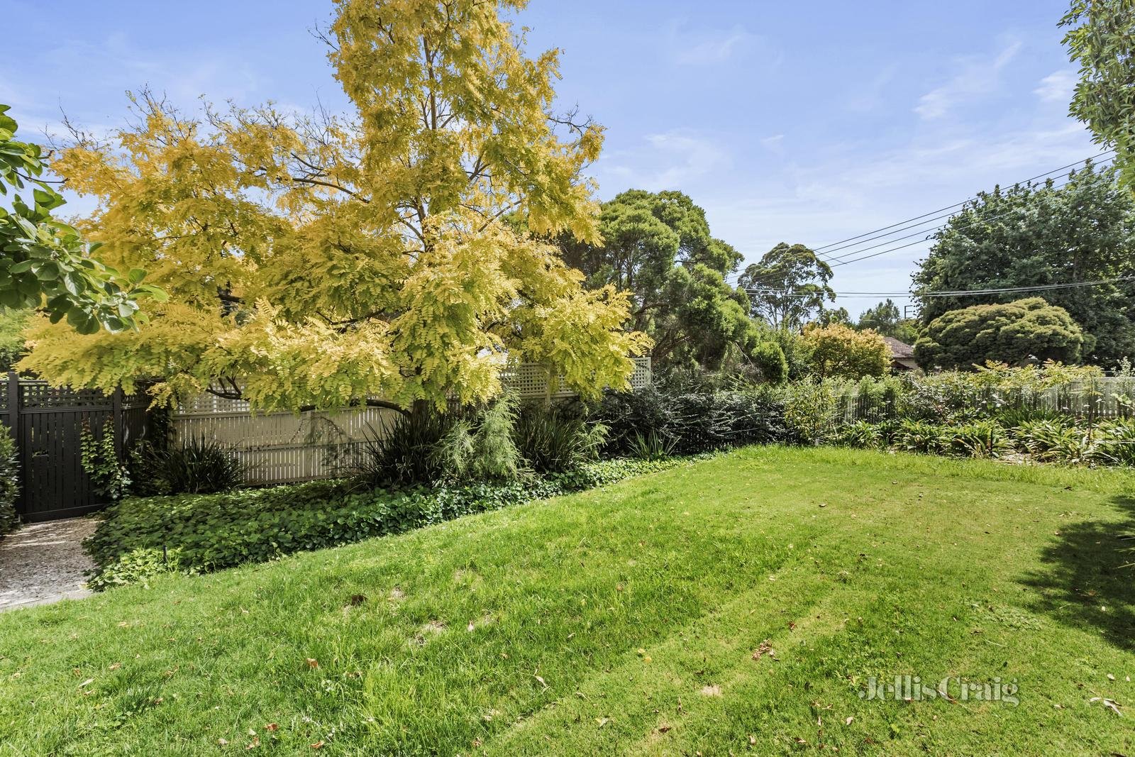 45 Maling Road, Canterbury image 11