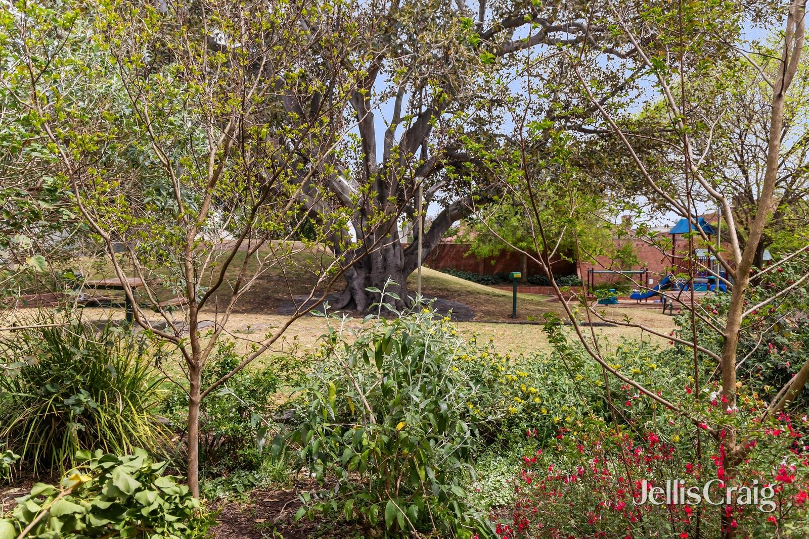 45 Osborne Street, South Yarra image 15