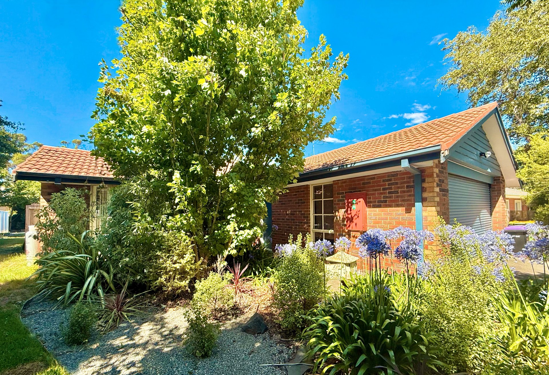 Property Gallery - Main Image