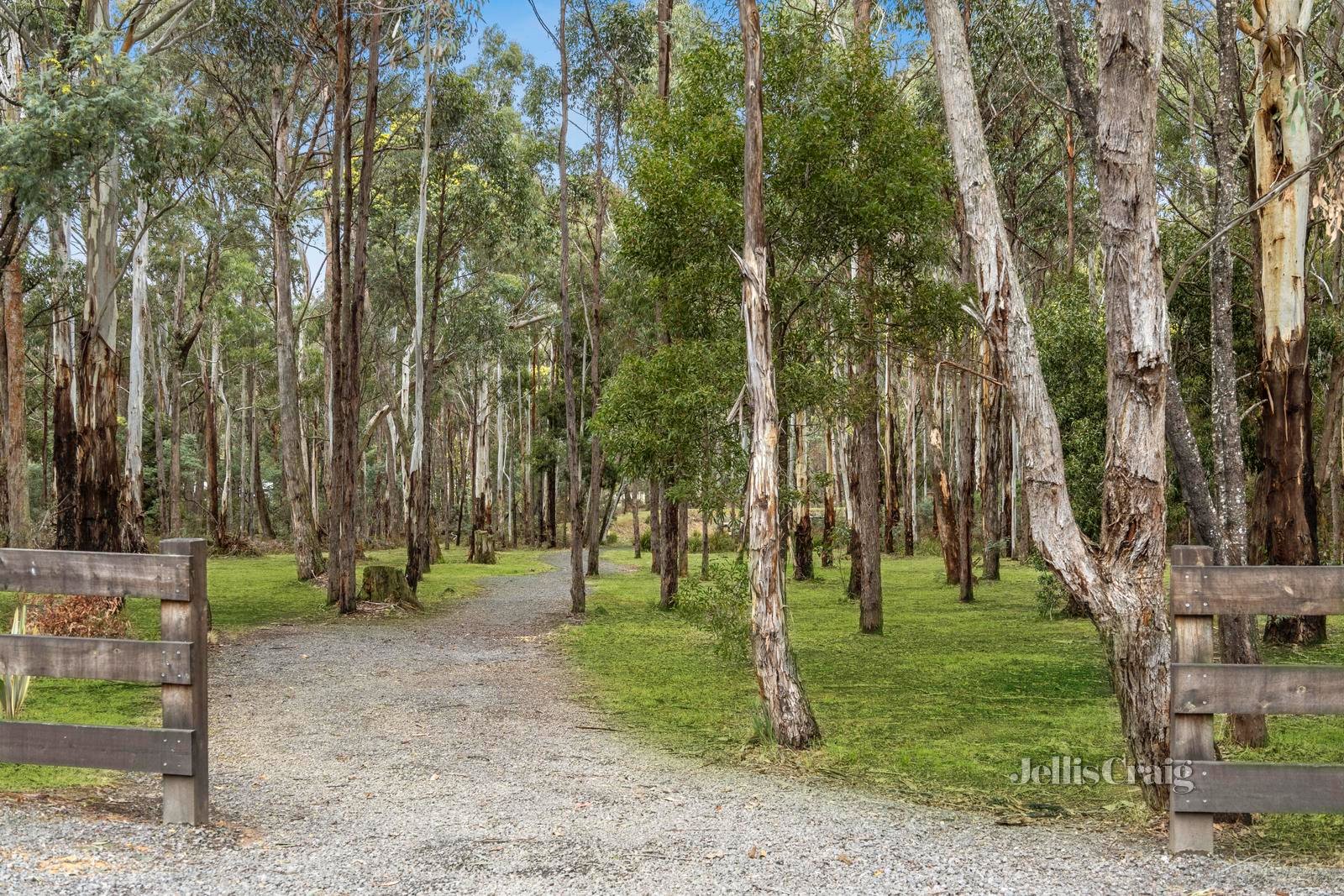 45 Whitegum Drive, Wheatsheaf image 25