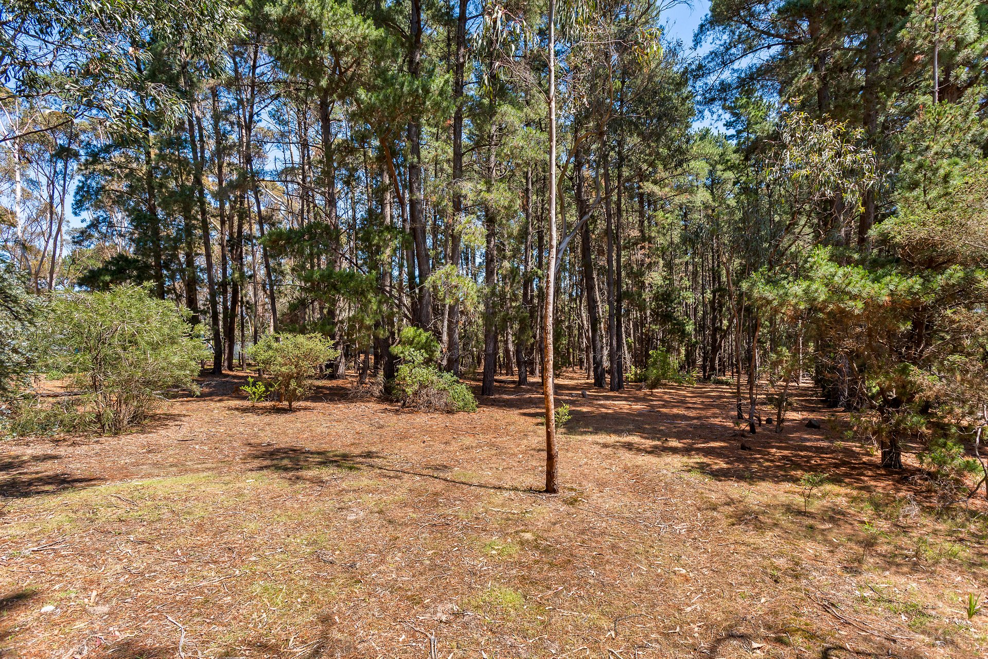 Property Gallery Thumbnail 19