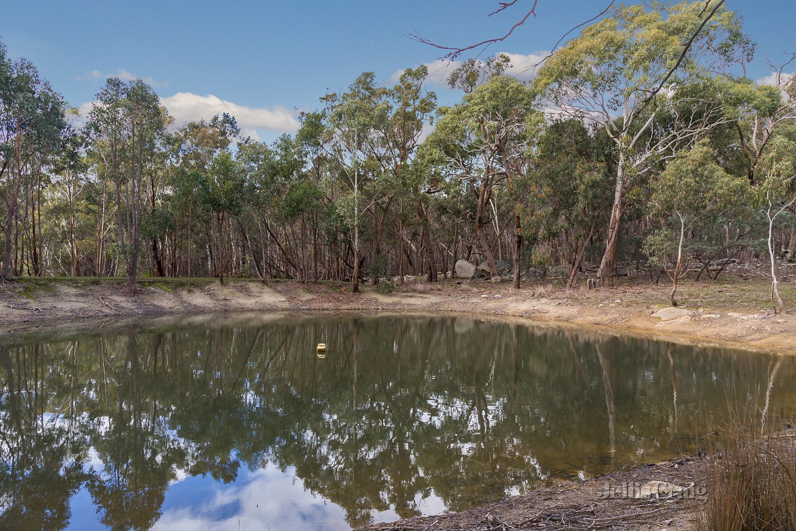 457 Youngs Road, Baynton image 10