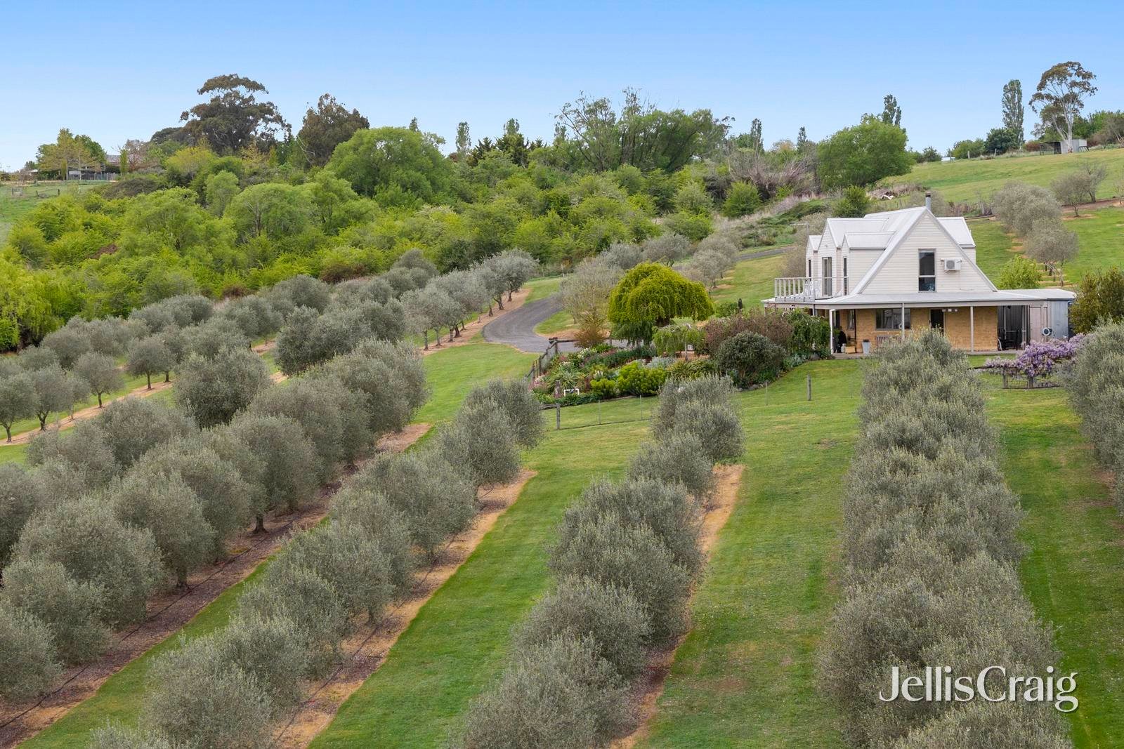 459 Lauriston Road, Lauriston image 1