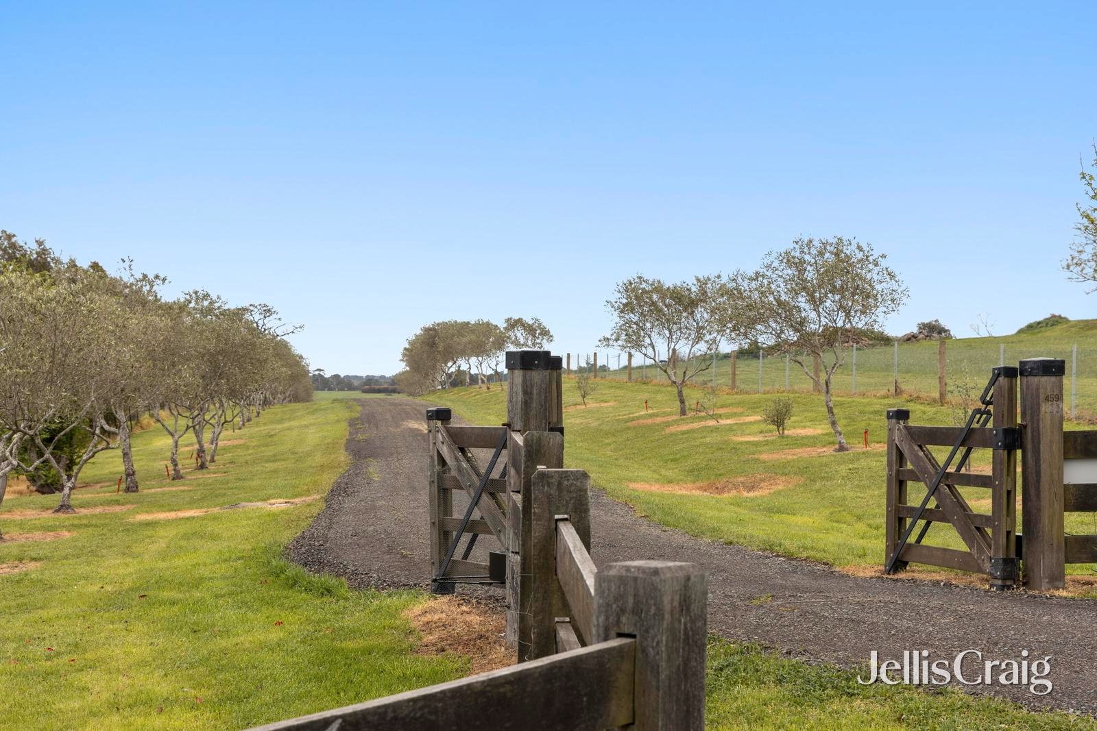 459 Lauriston Road, Lauriston image 7