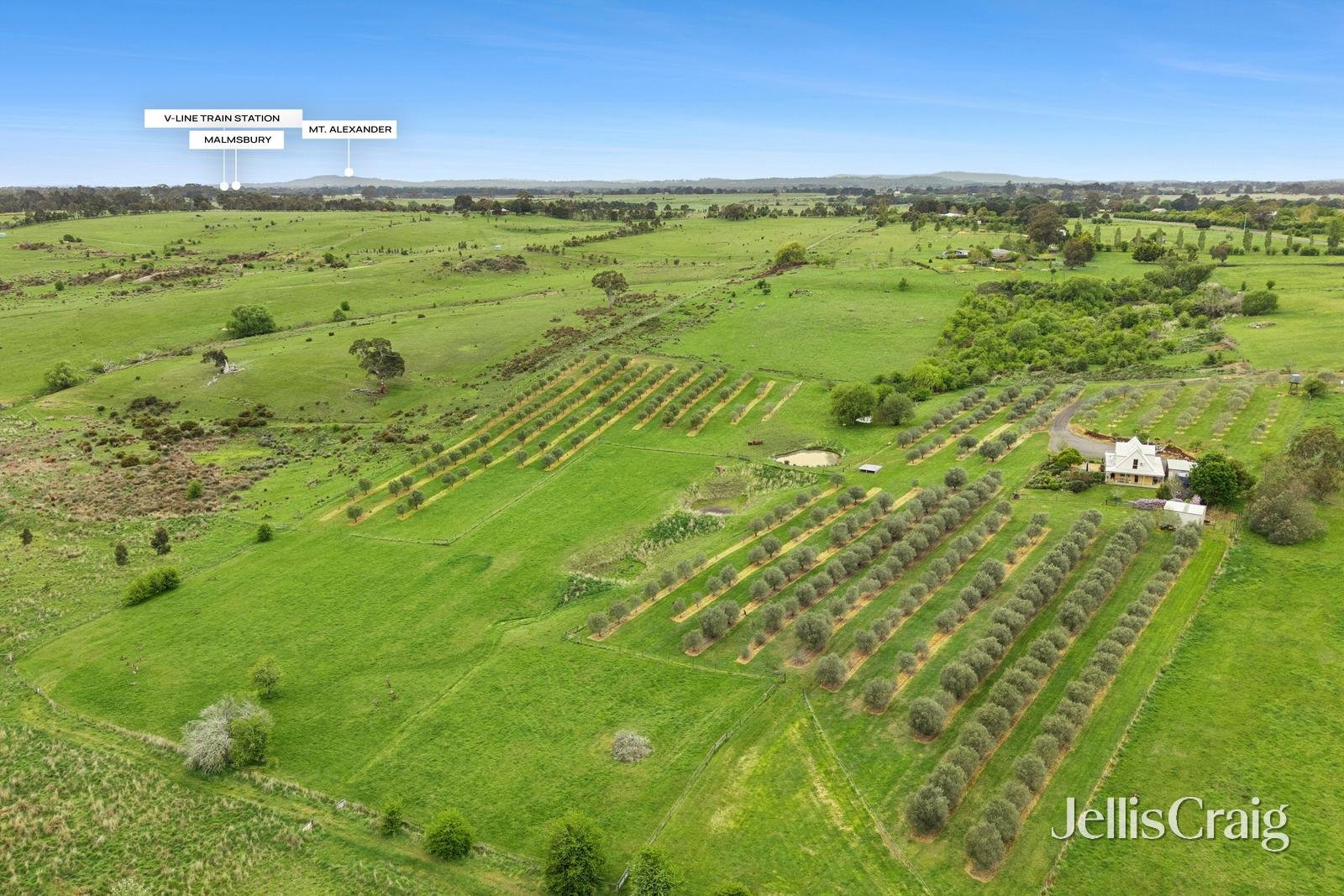459 Lauriston Road, Lauriston image 21