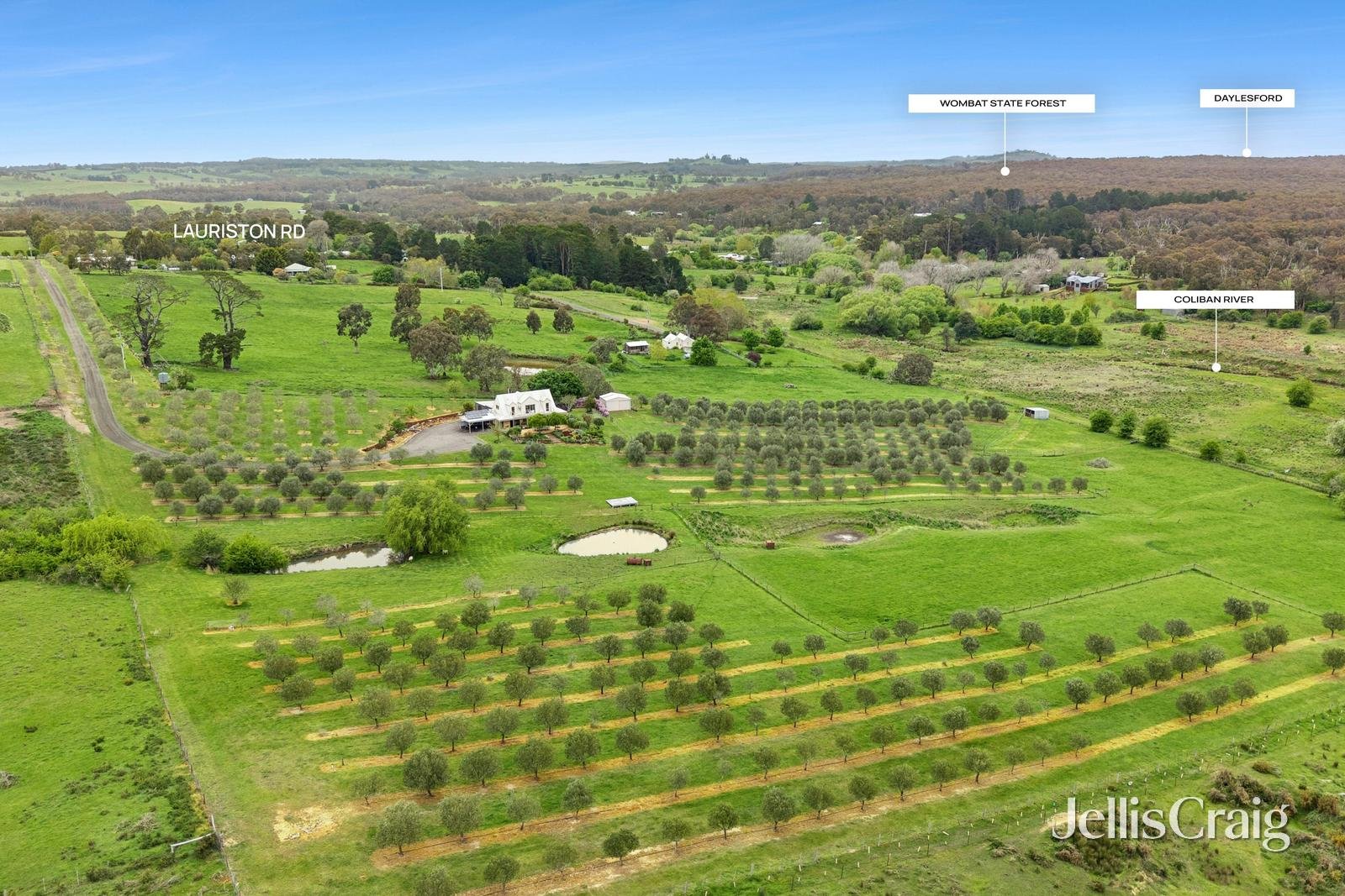 459 Lauriston Road, Lauriston image 24