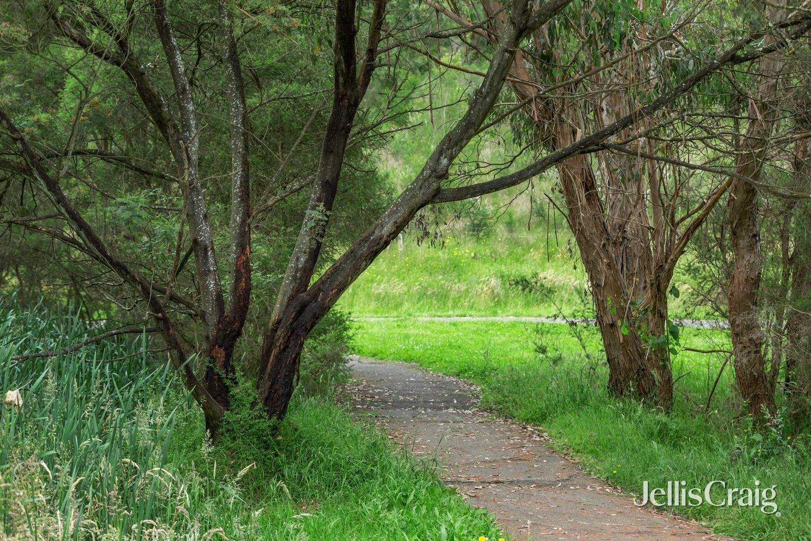 45A Smiths Road, Templestowe image 15