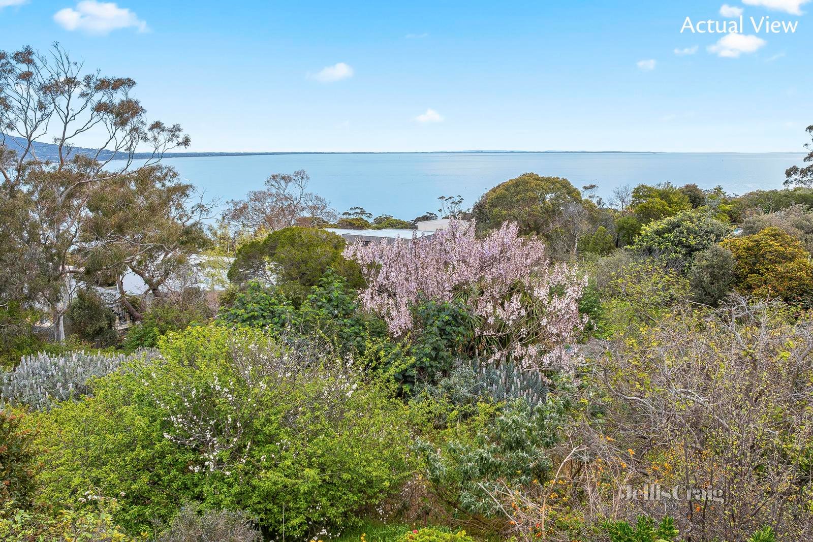 46-50 Ellerina Road, Mount Martha image 2