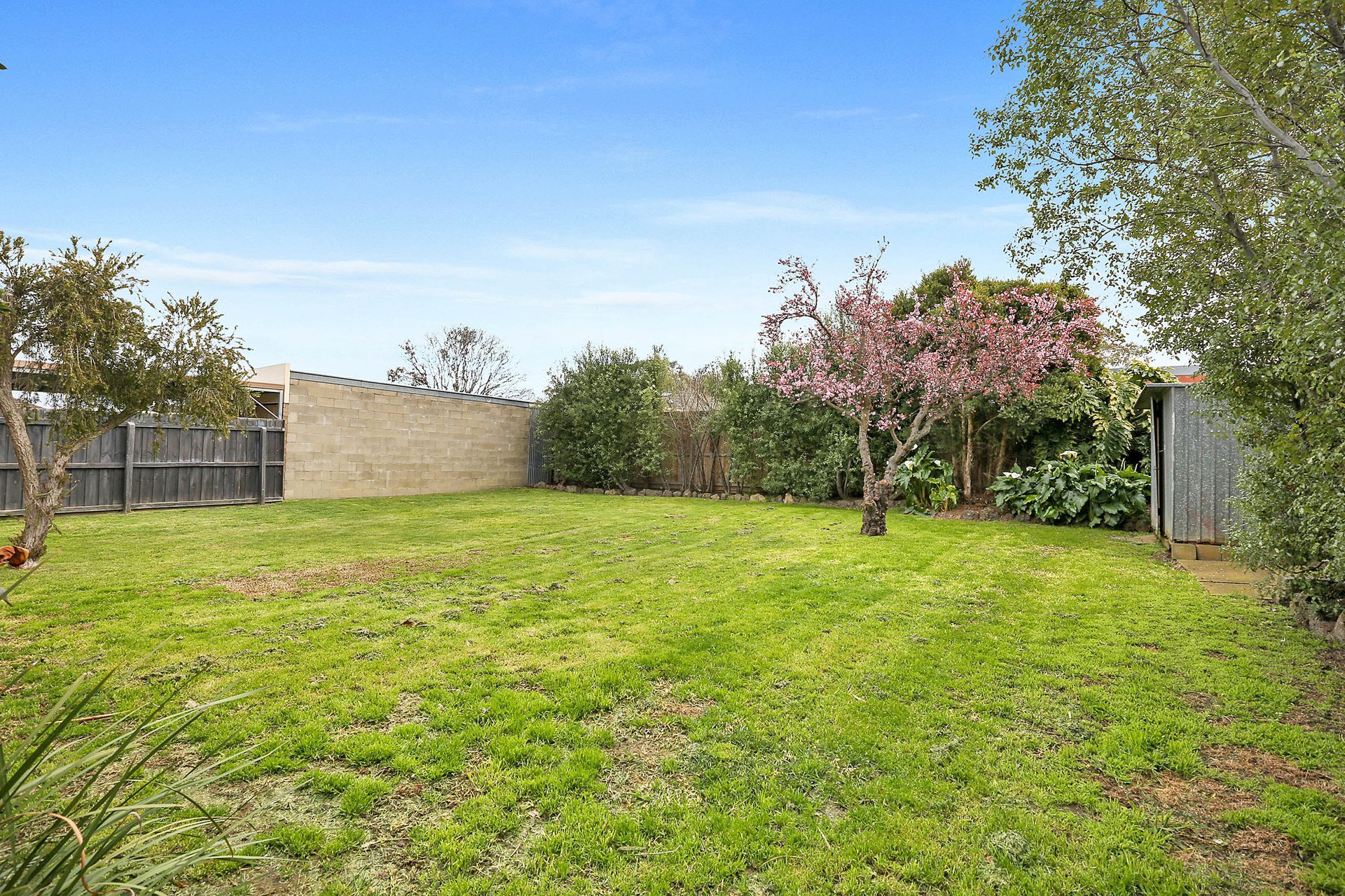 46 Bieske Road, Grovedale image 6