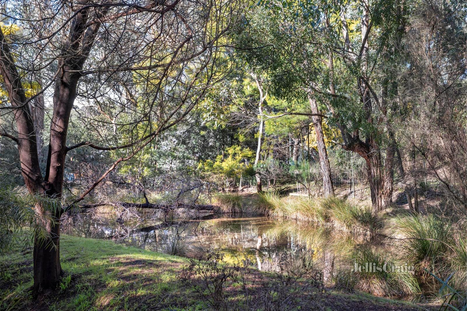 46 Haleys Gully Road, Hurstbridge image 18