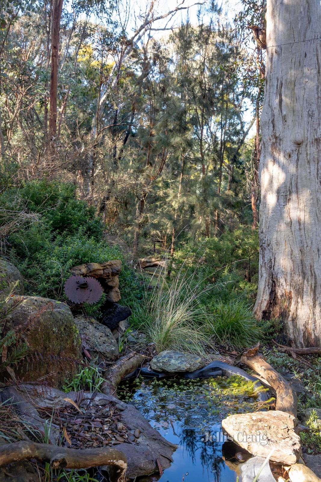 46 Haleys Gully Road, Hurstbridge image 20