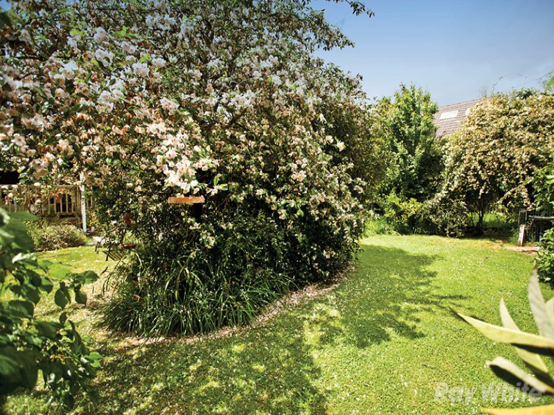 46 Larch Crescent, Mount Waverley image 7