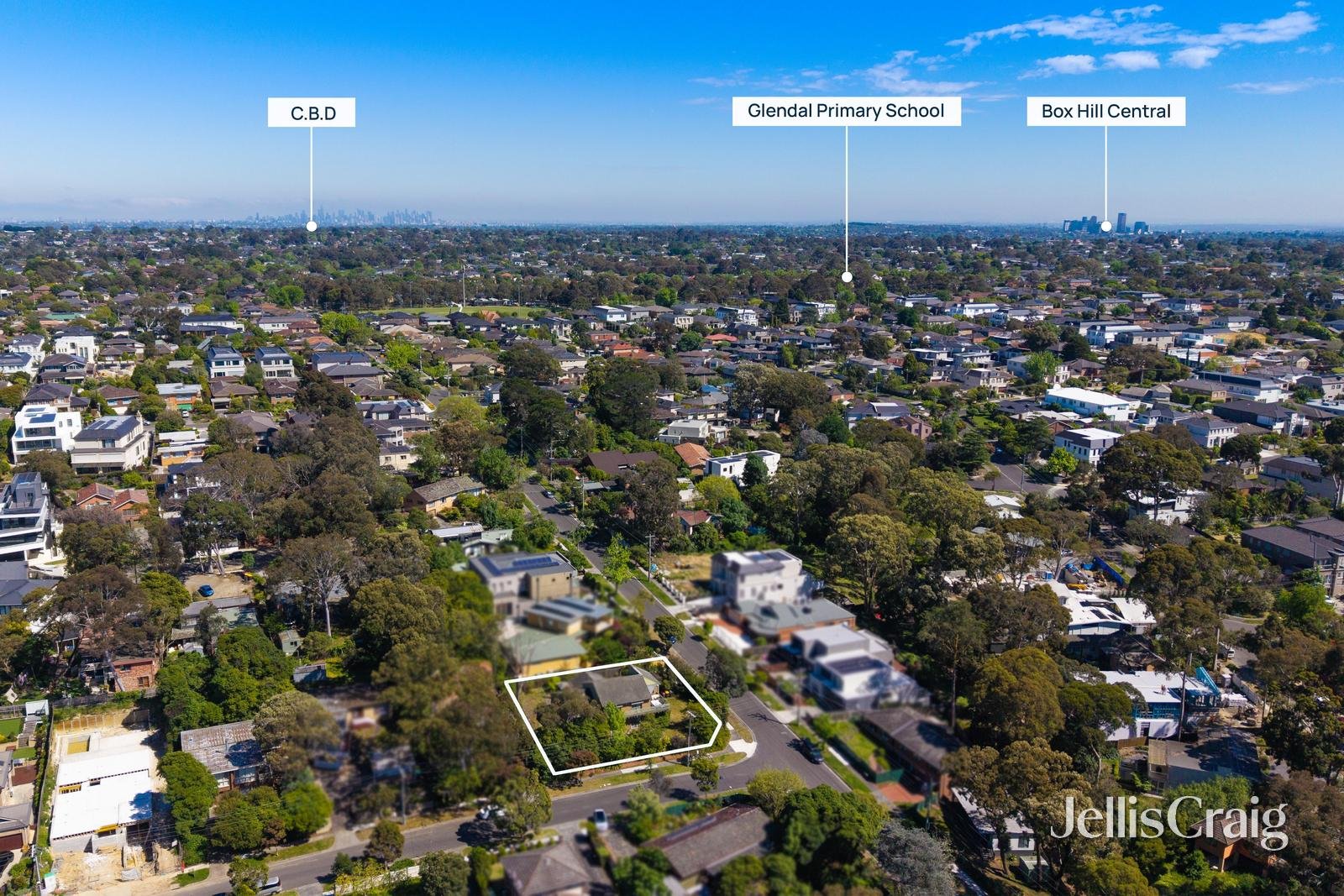 46 Madeline Street, Glen&nbsp;Waverley image 3