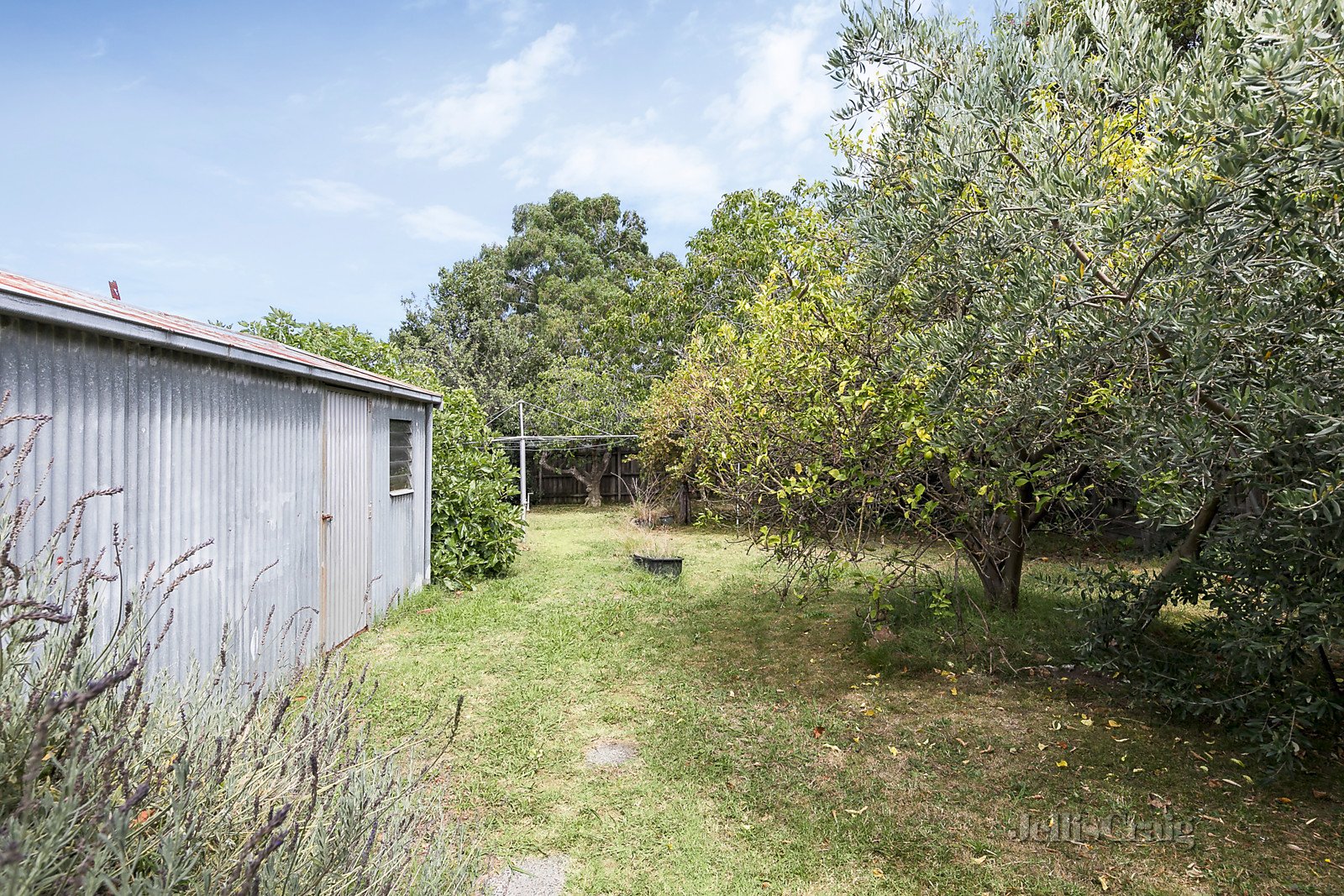 46 Speight Street, Thornbury image 3