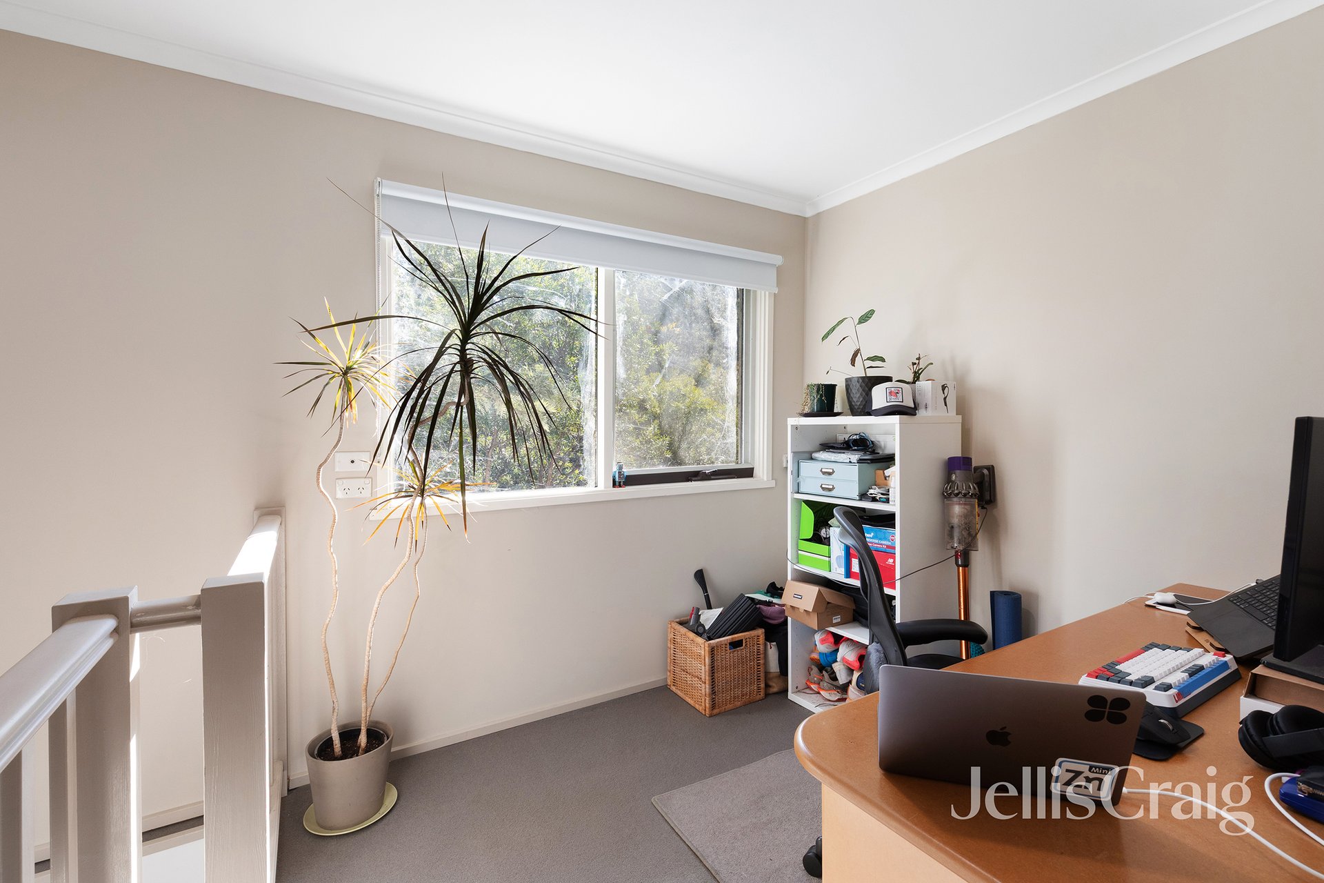 46 Wattletree Road, Hurstbridge image 6