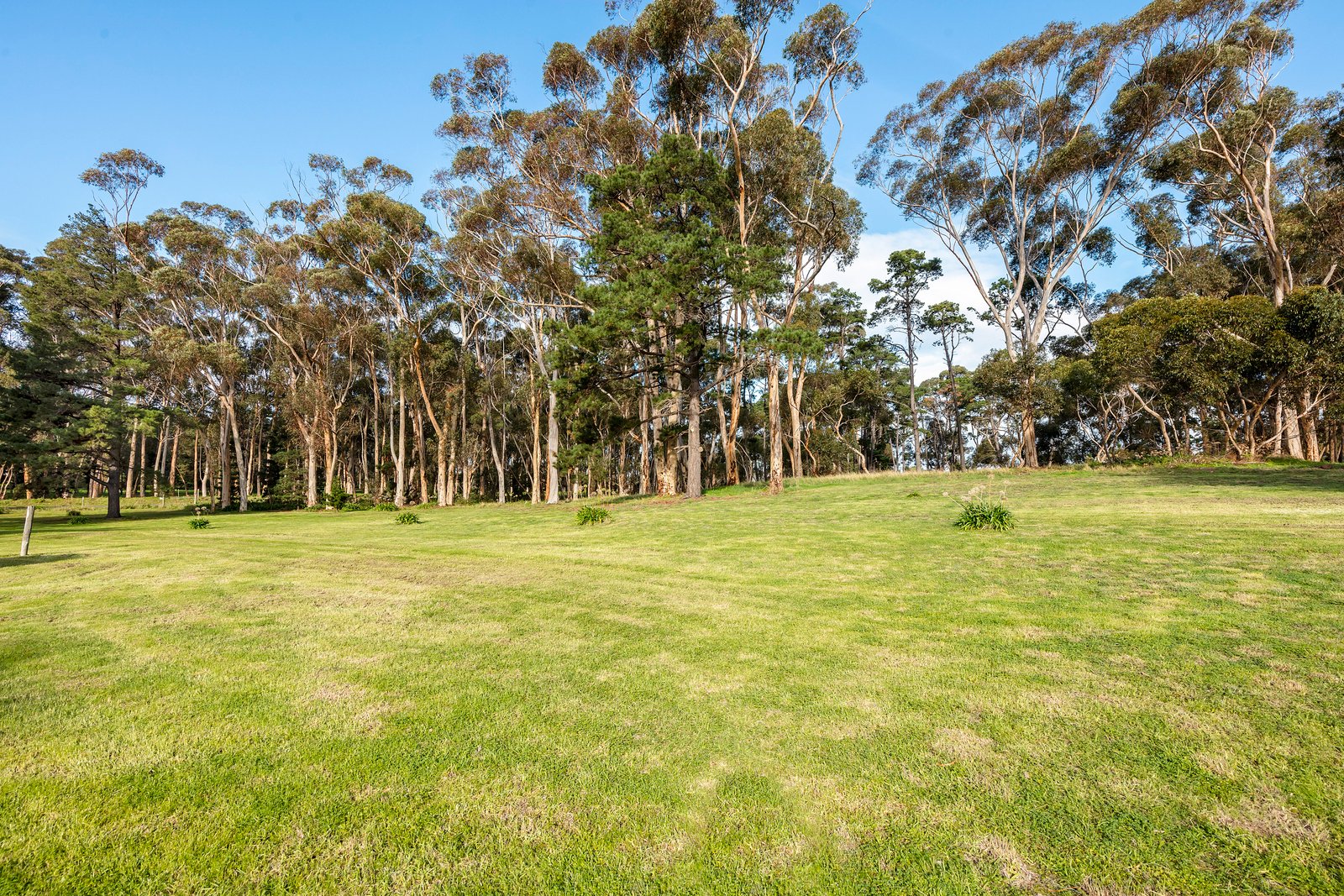 Property Gallery Thumbnail 15