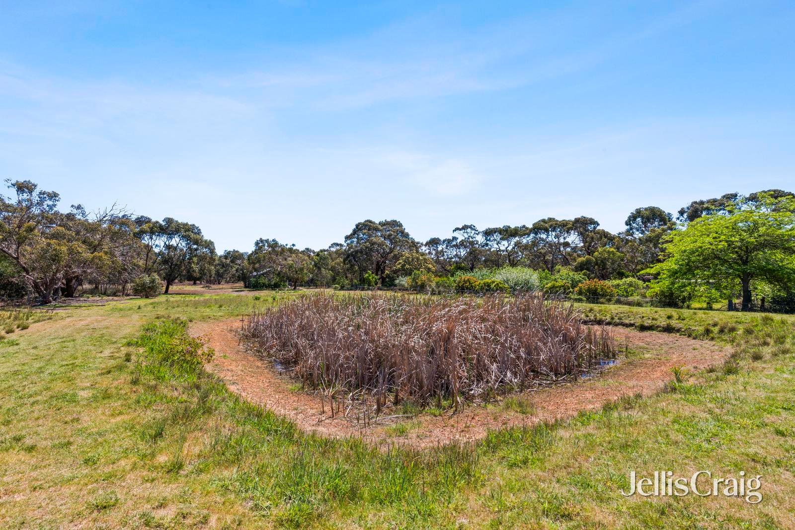 463-465 Grubb Road, Wallington image 12