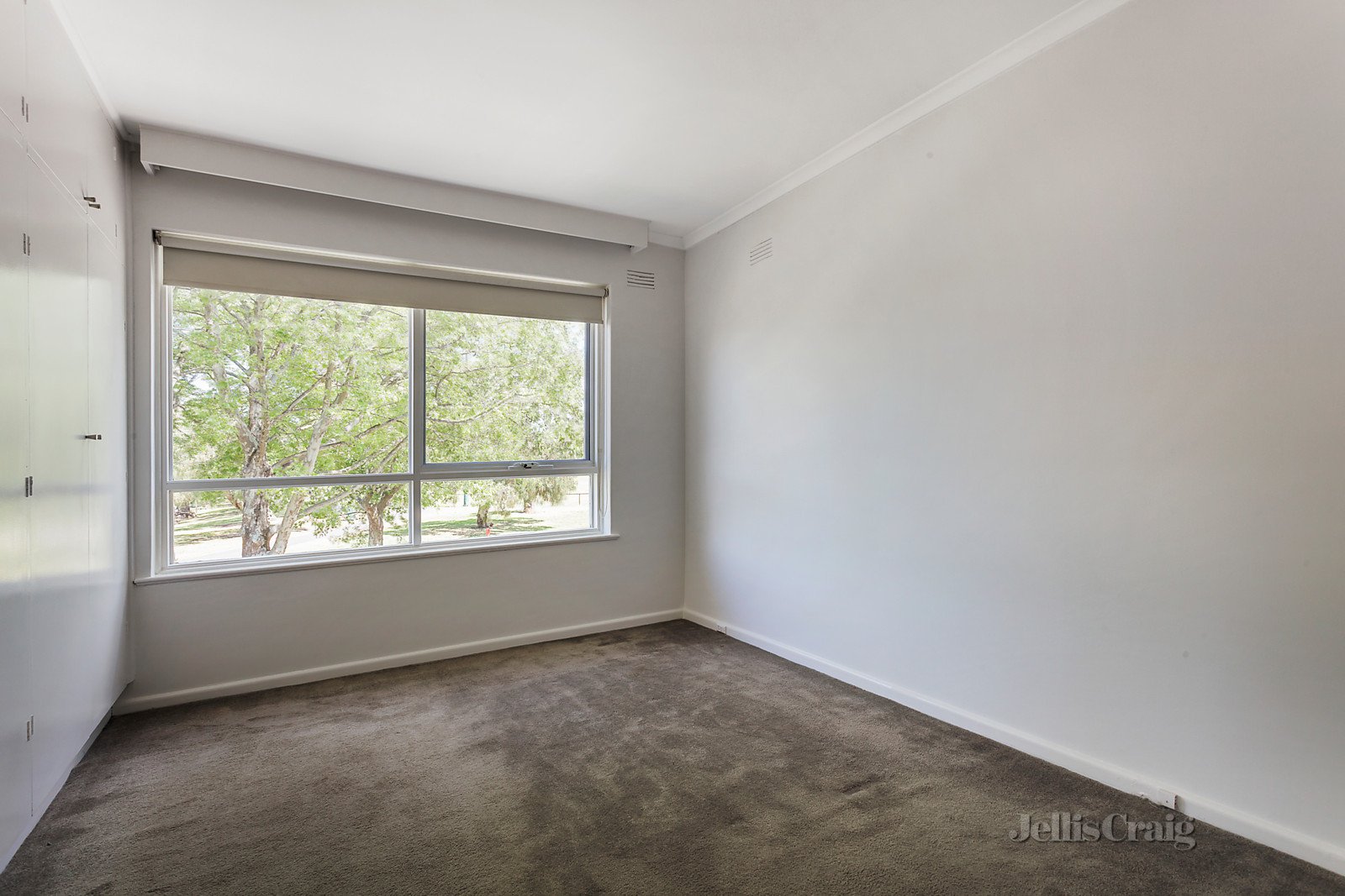 4/67 Denham Street, Hawthorn image 3
