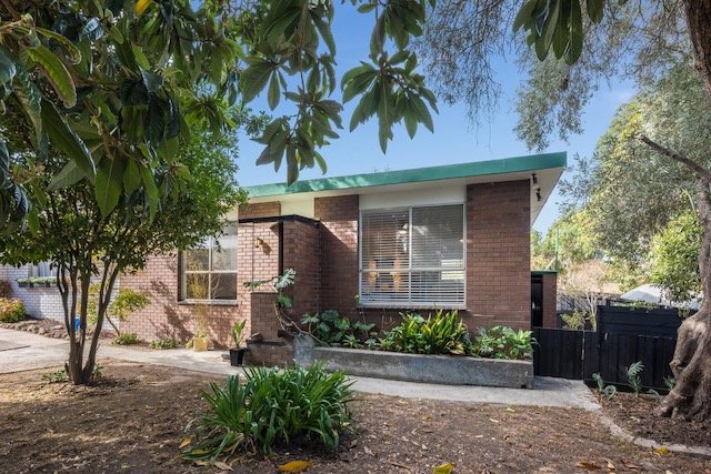 4/69A Camden Road, Newtown image 1