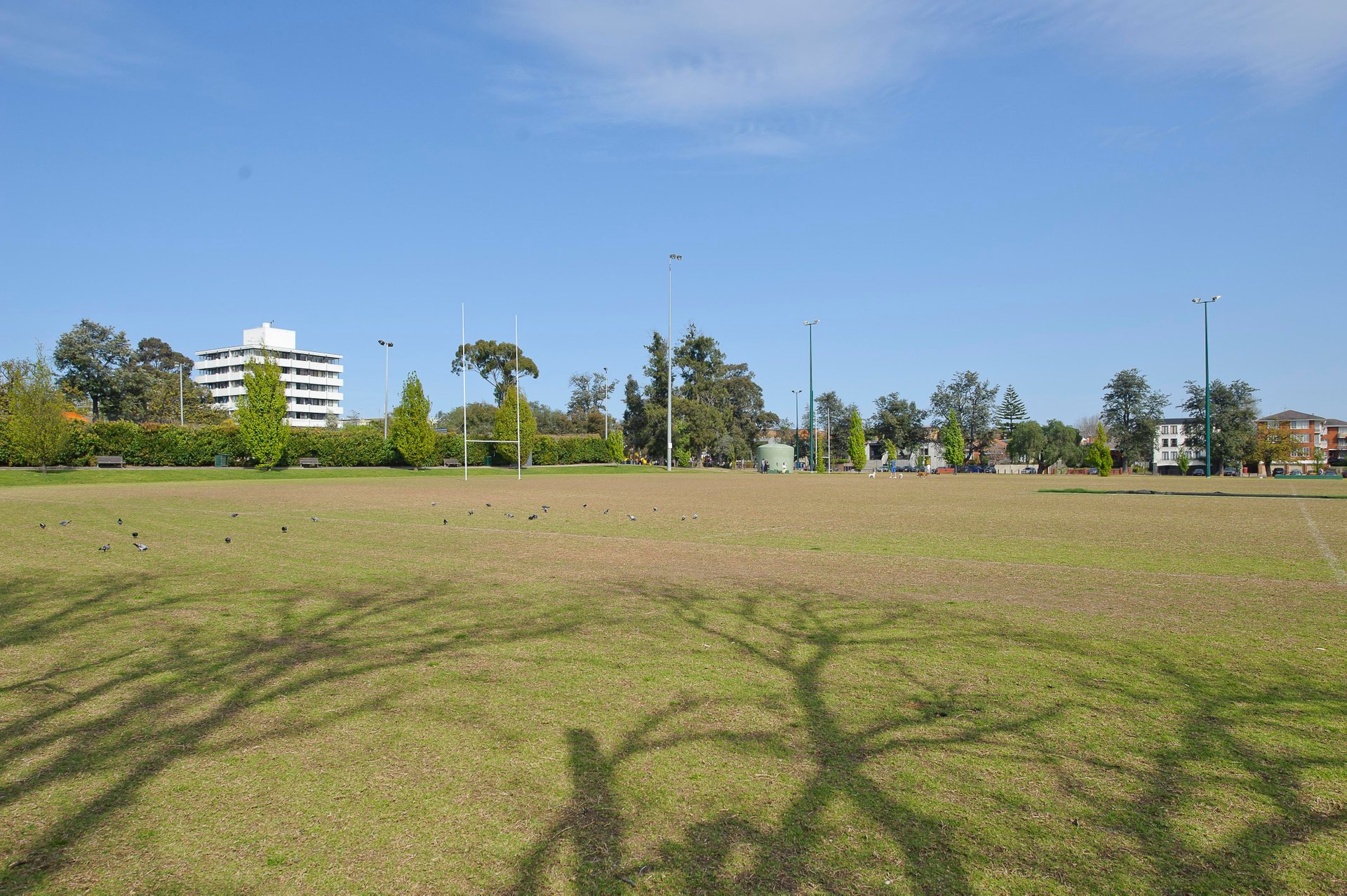 4/6a Evergreen Mews, Armadale image 14