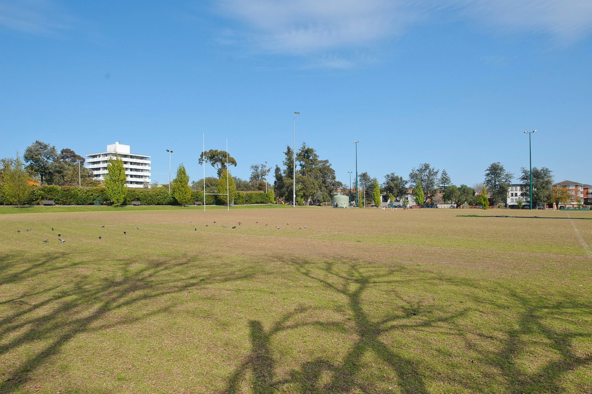 4/6a Evergreen Mews, Armadale image 14