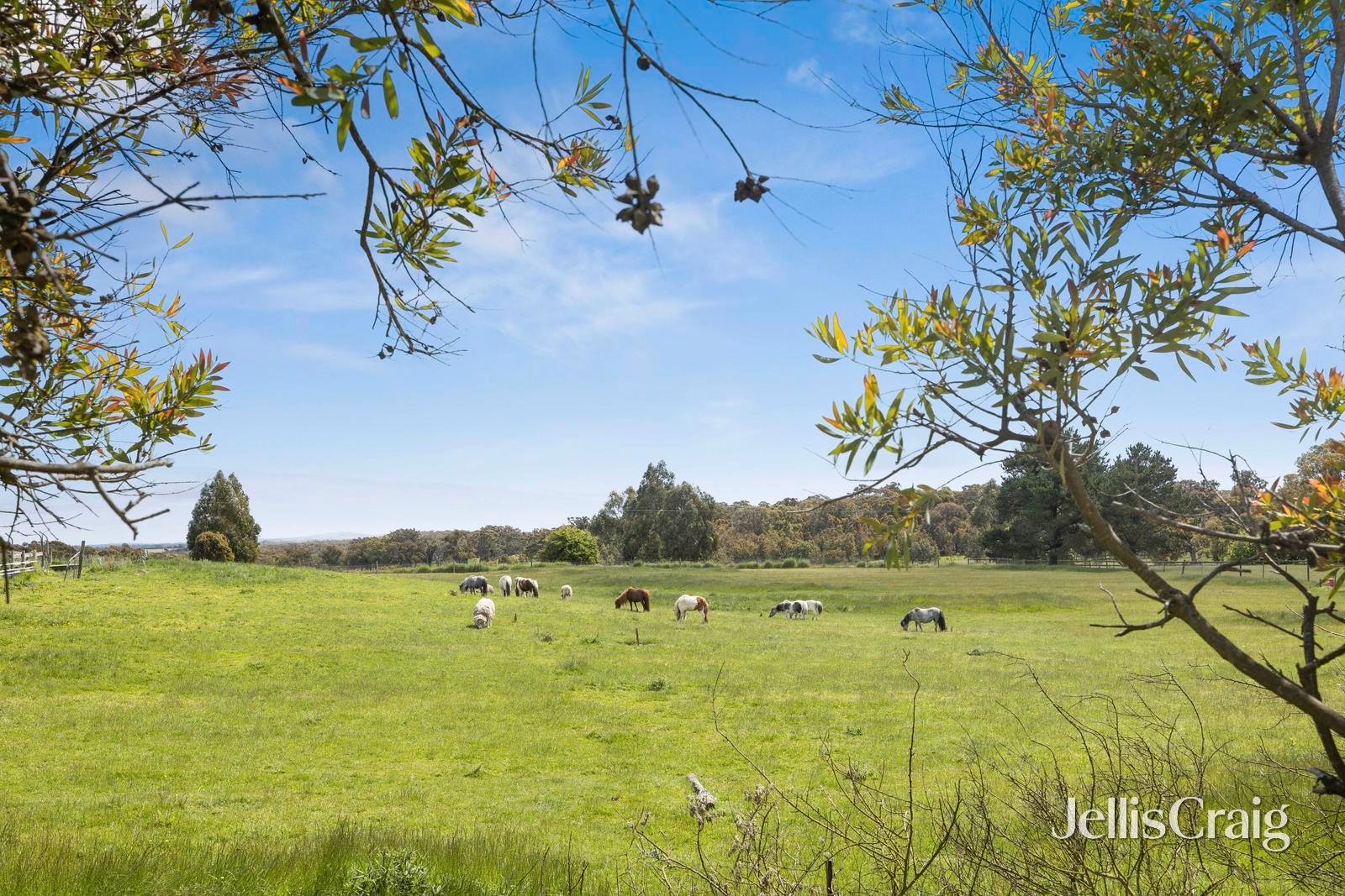 46a Trentham Road, Tylden image 8