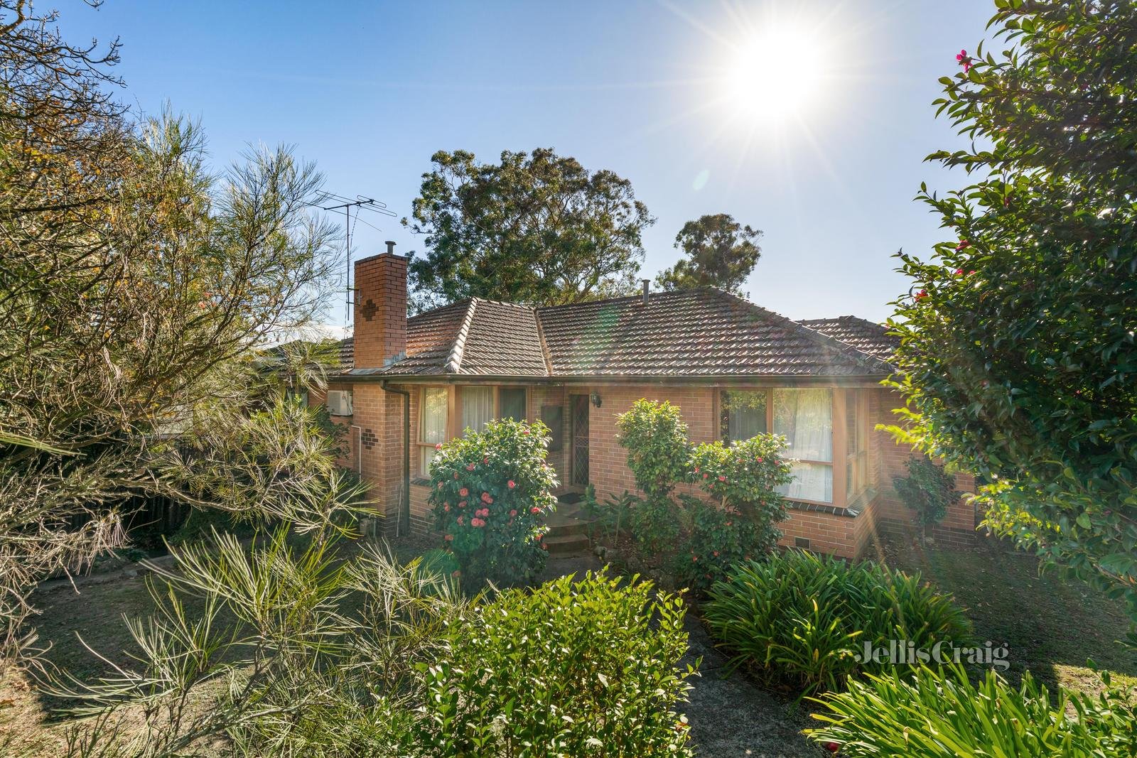 47 Alice Street, Mount Waverley image 2
