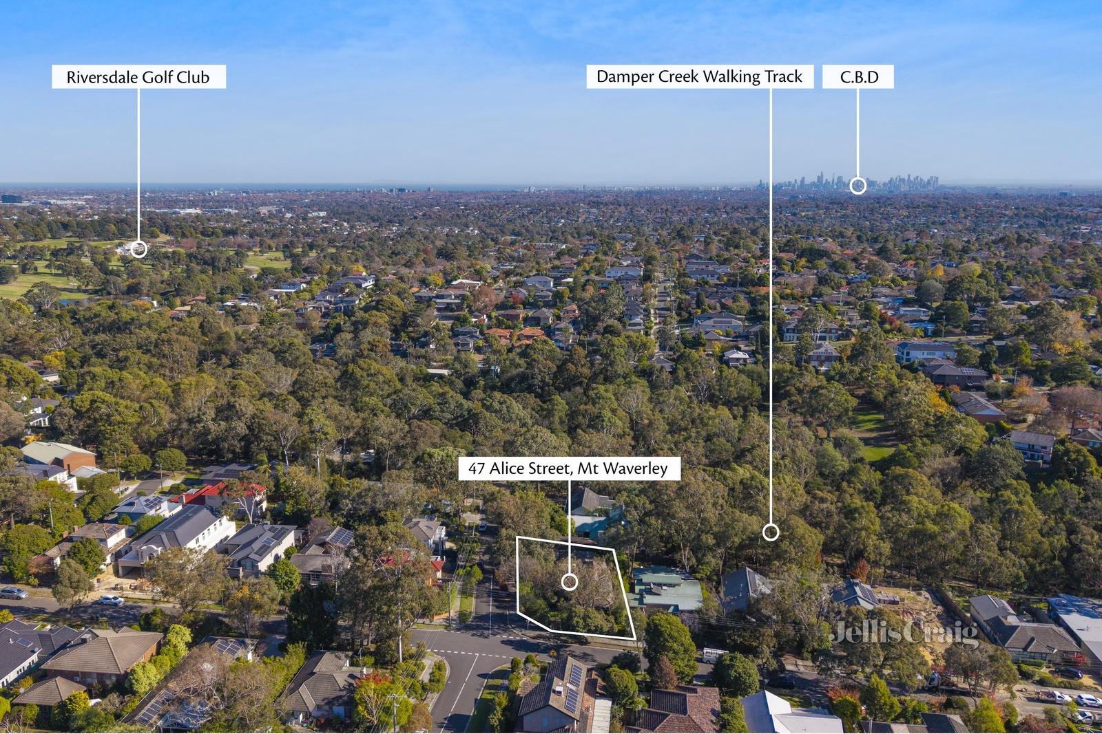 47 Alice Street, Mount Waverley image 12