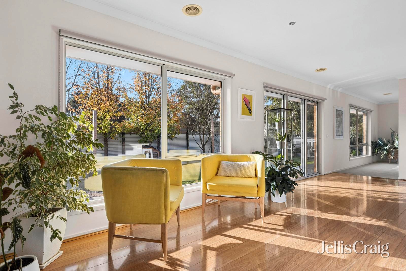 47 Elizabeth Street, Campbells&nbsp;Creek image 4