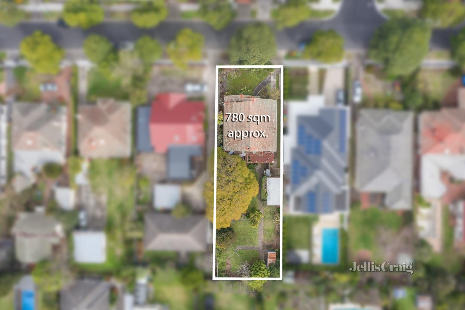 47 Holloway Street, Ormond image 3